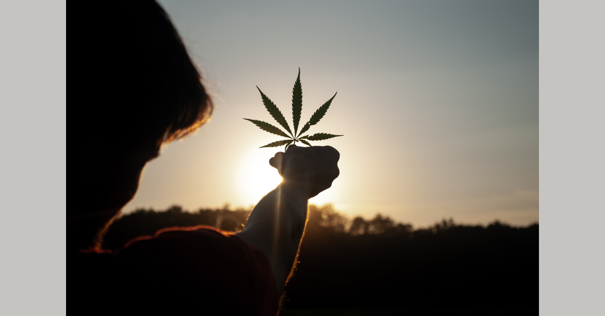 banner image for: CannabisRadio.com anuncia una asociación oficial con NoCo Hemp Expo y cobertura por expertos de la industria.