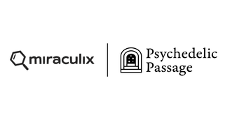 banner image for: Psychedelic Passage and Miraculix Unite to Enhance Safety in Psychedelic Therapy