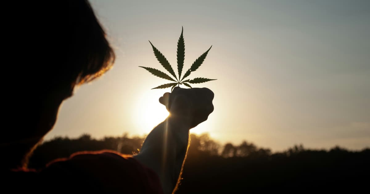 Missouri Report Finds Illicit High-THC Cannabis Sold as Hemp Products