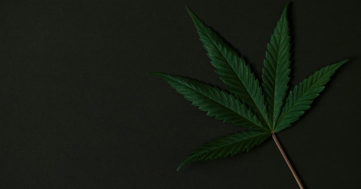 MWG Holdings Continues Support for Cannabis Criminal Justice Reform Through Last Prisoner Project Partnership