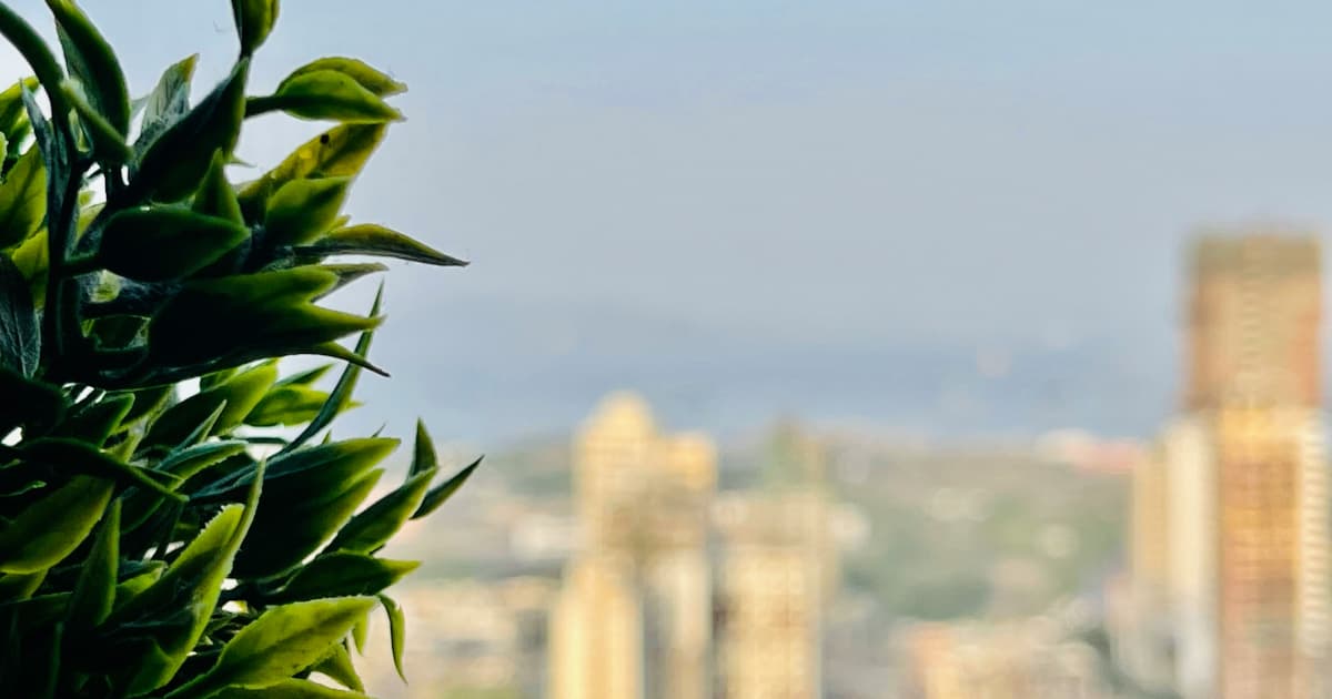 Pharos Premium Infused Beverages Wins Top Honors at WSWA Tasting Competition