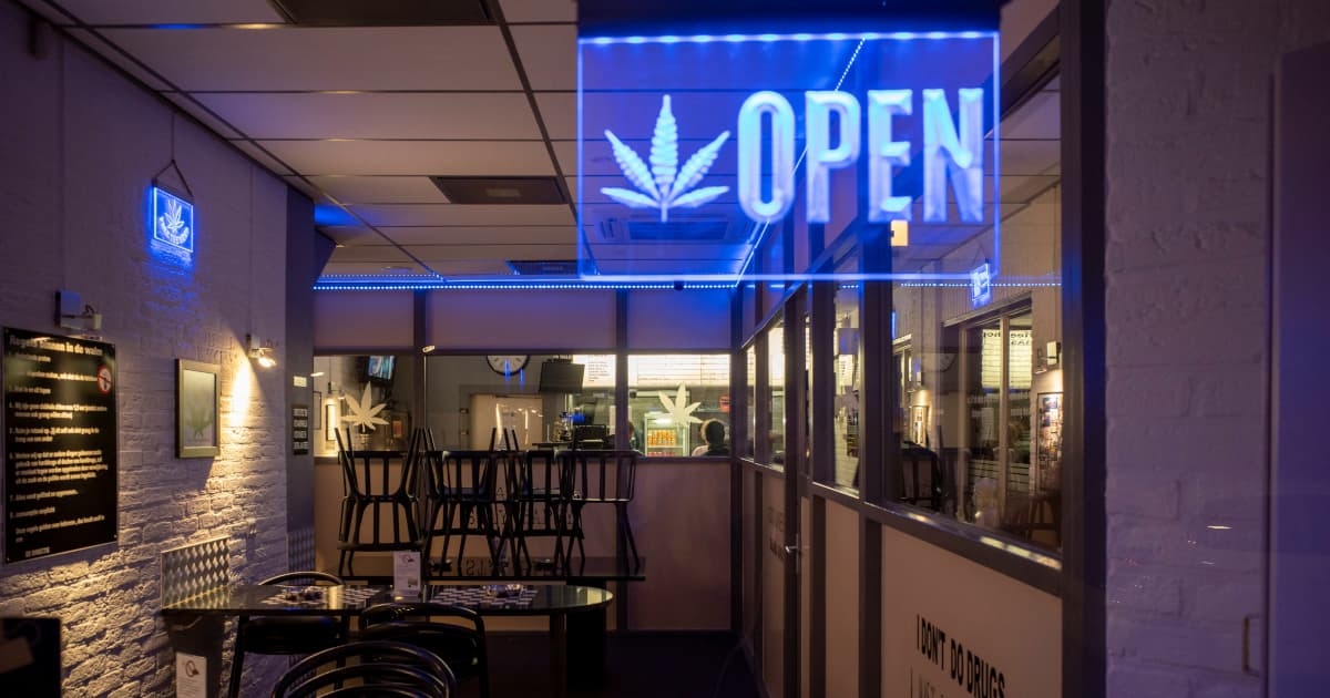 Strategies for Improving Employee Retention in the Competitive Cannabis Industry