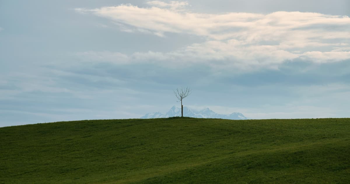 Renewable Energy Surpluses Ending as Electricity Demand Grows