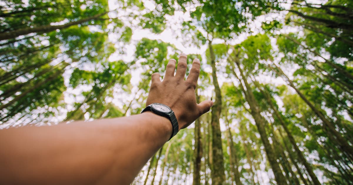 Milevista Partners with Operation Smile to Raise $6.7 Million for Cleft Care by 2027