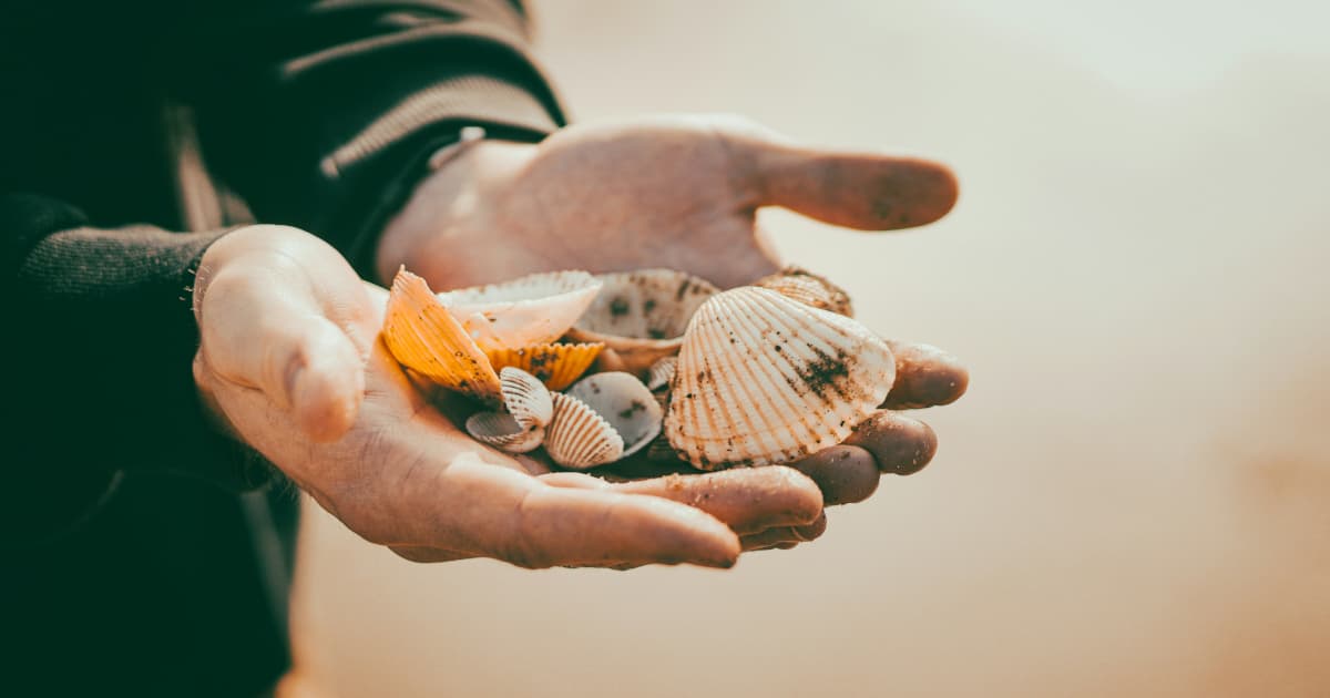 Florida Mental Health Watchdog Educates Public Through Over 1,000 Events