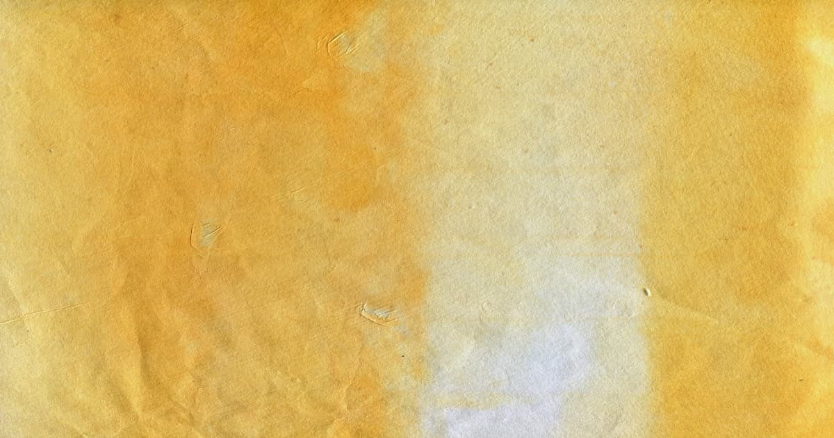 Accessibility Partnerships Transform Mobility Experiences for Individuals with Disabilities