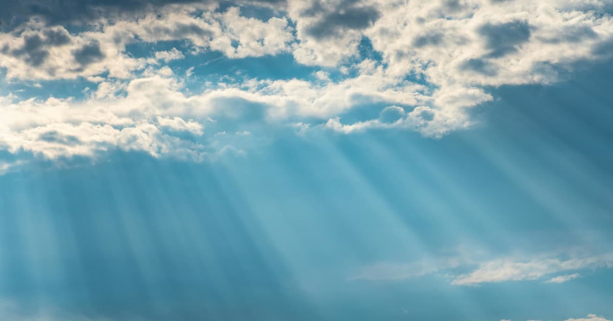 New Children's Book Teaches Christian Values Through Forest Animal Adventures