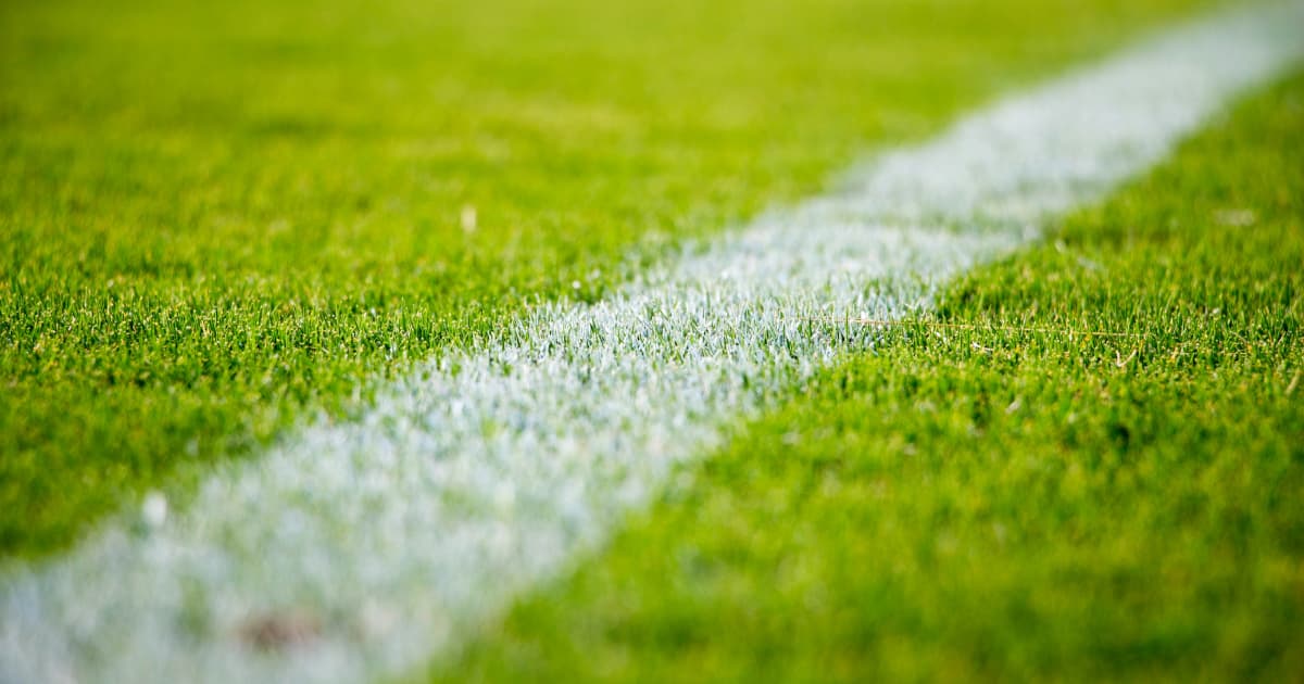 Shincheonji Taekwondo Team Achieves Remarkable Success at 2025 International Cup