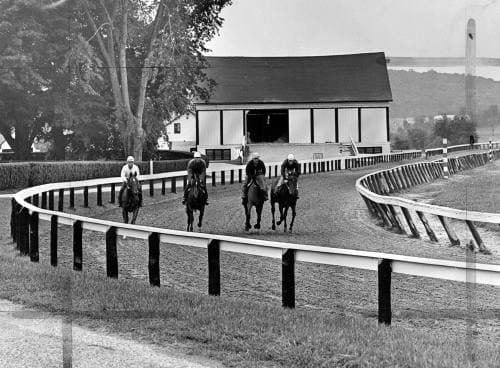A. Aubrey Bodine's "Race Horse Workout (1967)" Showcases Equestrian Legacy