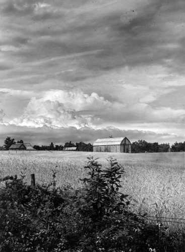 A. Aubrey Bodine's Legacy Captured in 'Wheat for the Mills (1948)'
