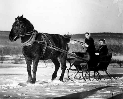 A. Aubrey Bodine's Legacy as a Pioneering Pictorialist Photographer Endures Through Extensive Online Archive