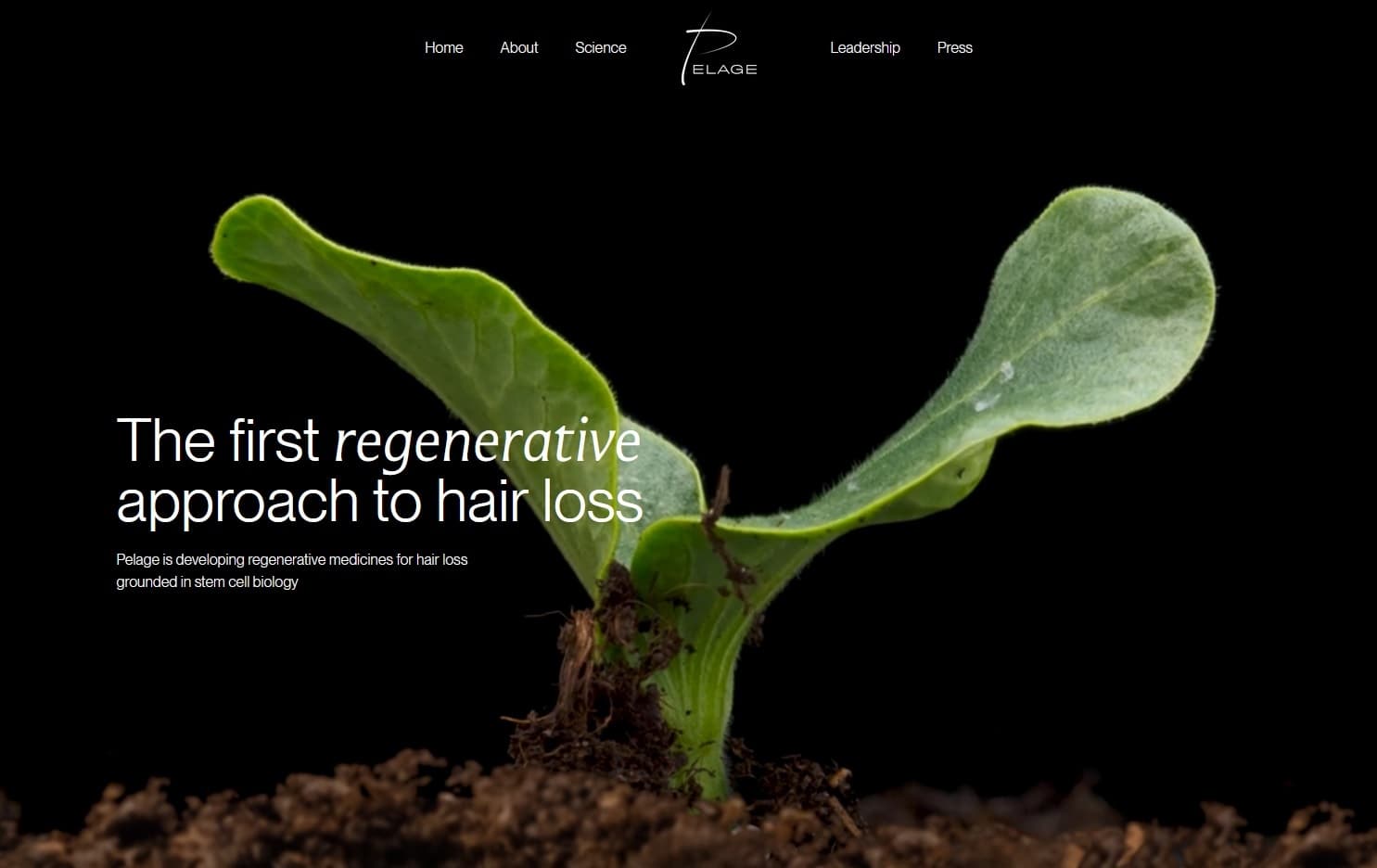 Pelage Pharmaceuticals Secures $120 Million Funding for Regenerative Hair Therapy Development