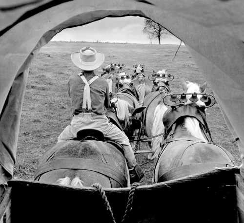A. Aubrey Bodine's Photographic Legacy Captures Historical Farming Techniques