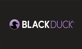 Black Duck Enhances AI-Powered Security Assistant with Real-Time Code Scanning and Fixes