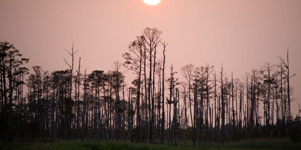 Climate Change Impacts Across Maryland Highlight Local Vulnerabilities and Historical Losses