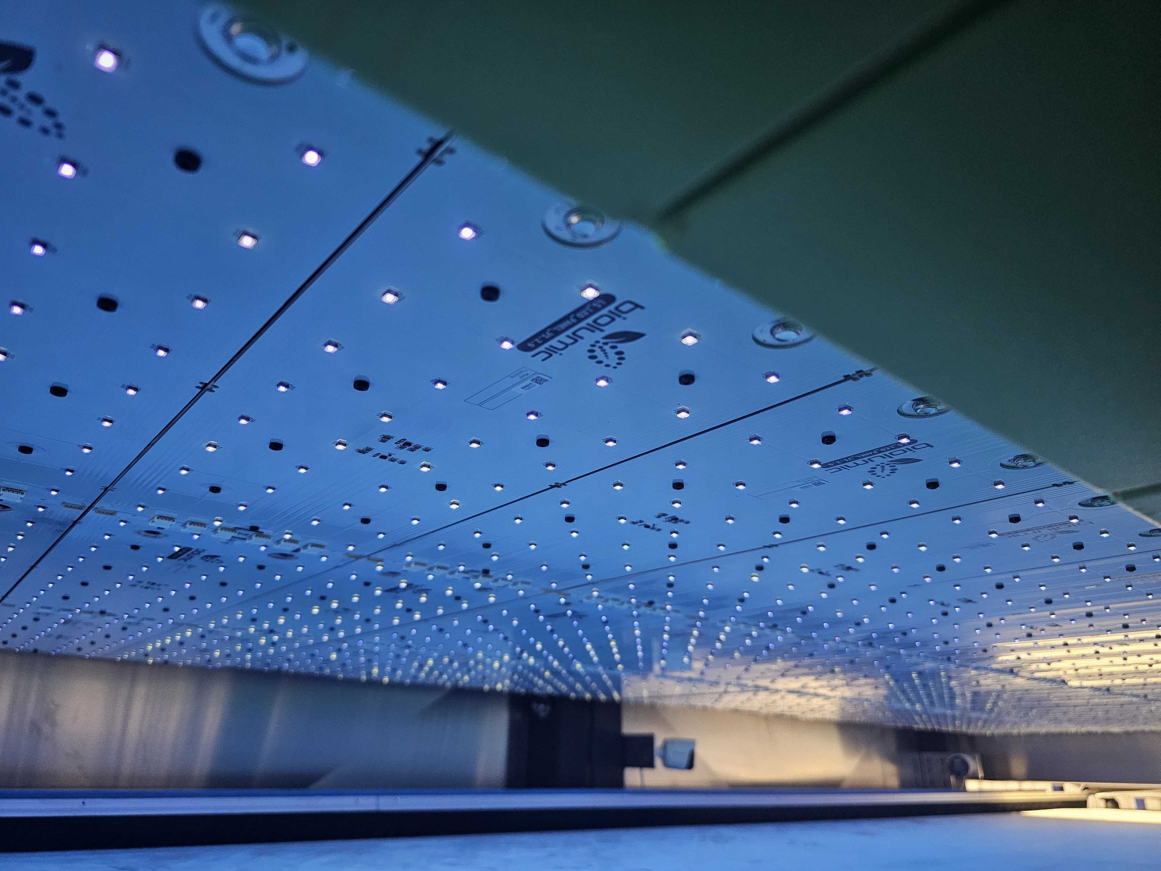 BioLumic Unveils Revolutionary Light-Activated Seed Trait Technology for Agriculture