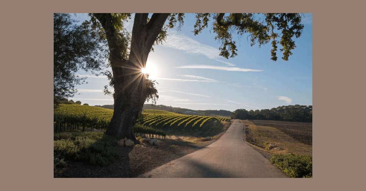 Conway Law Practice Attorney Recognized as 2025 Super Lawyers Rising Star While Securing Key Family Law Victories