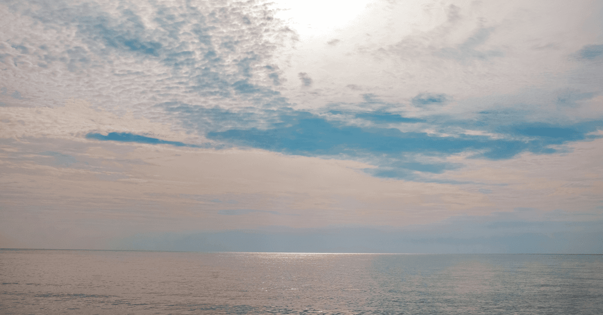 New Book Highlights Role of Blue Parks in South China Sea Conservation and Peacebuilding