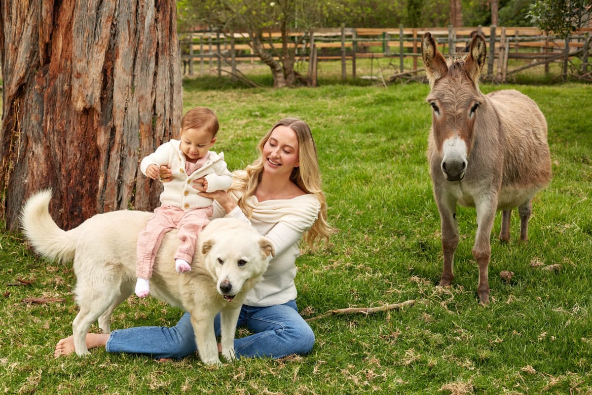 Search Atlas Founders Open Permanent Animal Sanctuary in Colombia