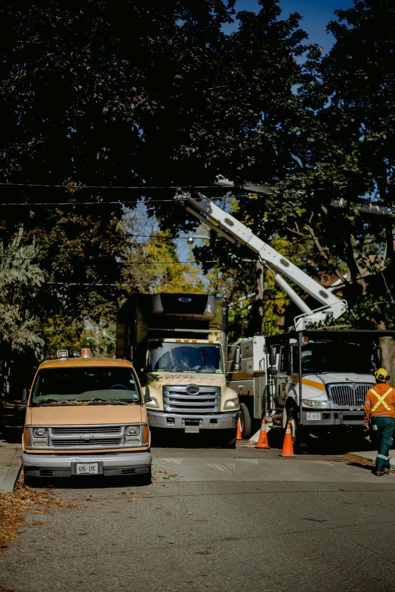 Lancaster Tree Pros Expands Trusted Tree Care Services with Comprehensive Offerings