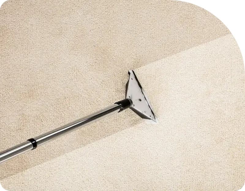 Flood Squad's Technological Advancements Transform Sydney Water Damage Restoration