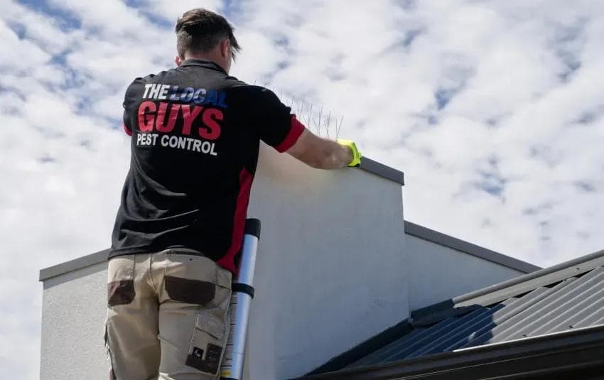 Trusted Pest Control Services Expand in Christchurch