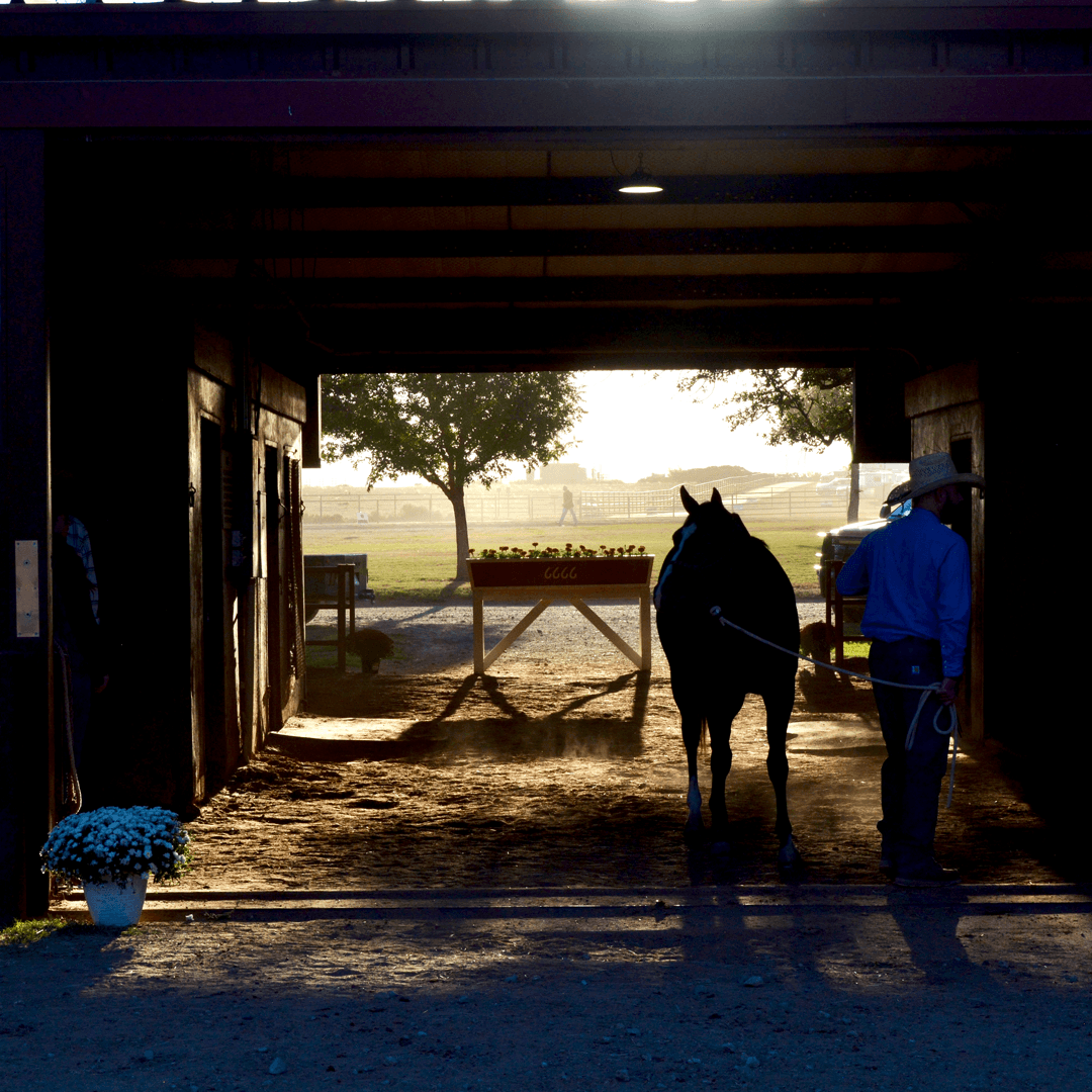 Four Sixes Ranch Reveals Comprehensive Sales Preparation Approach for Equine Excellence