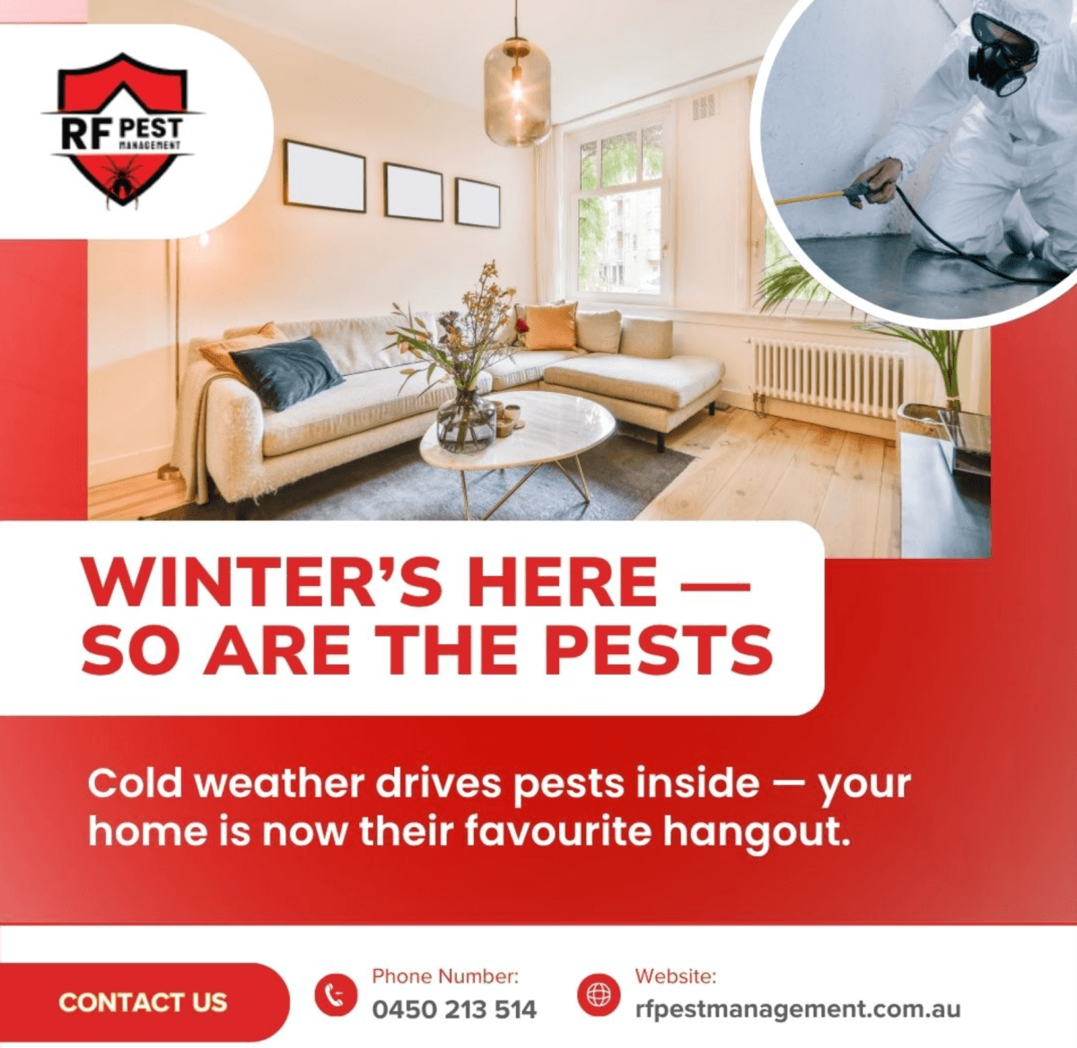 Rising Demand for Professional Pest Control in Melbourne’s West Highlights Suburban Challenges