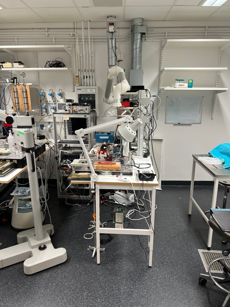 Study Shows Multiple Doses of Extracellular Vesicles May Reduce Lung Injury Risk in ICU Patients