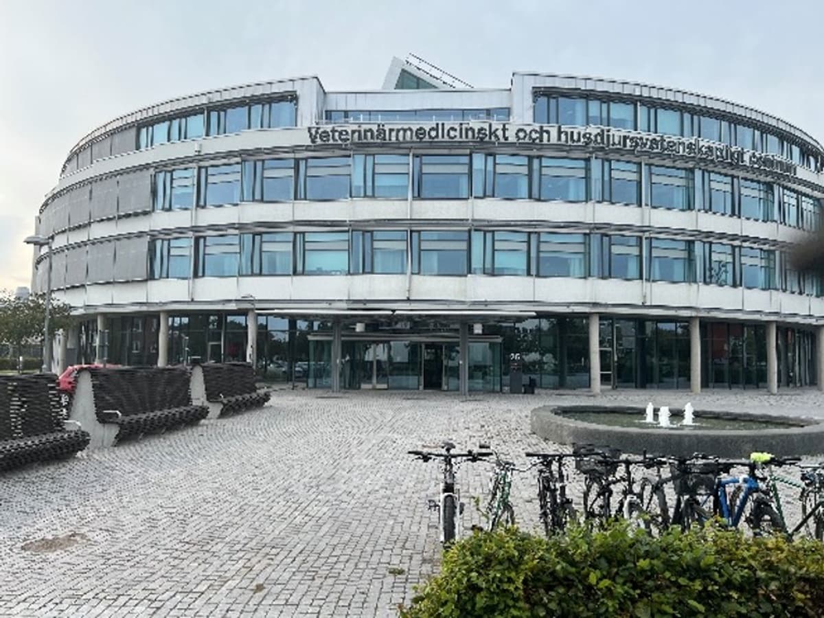 LEKSUM and SLU Partner to Pioneer Muscle Research in Unique ICU Lab