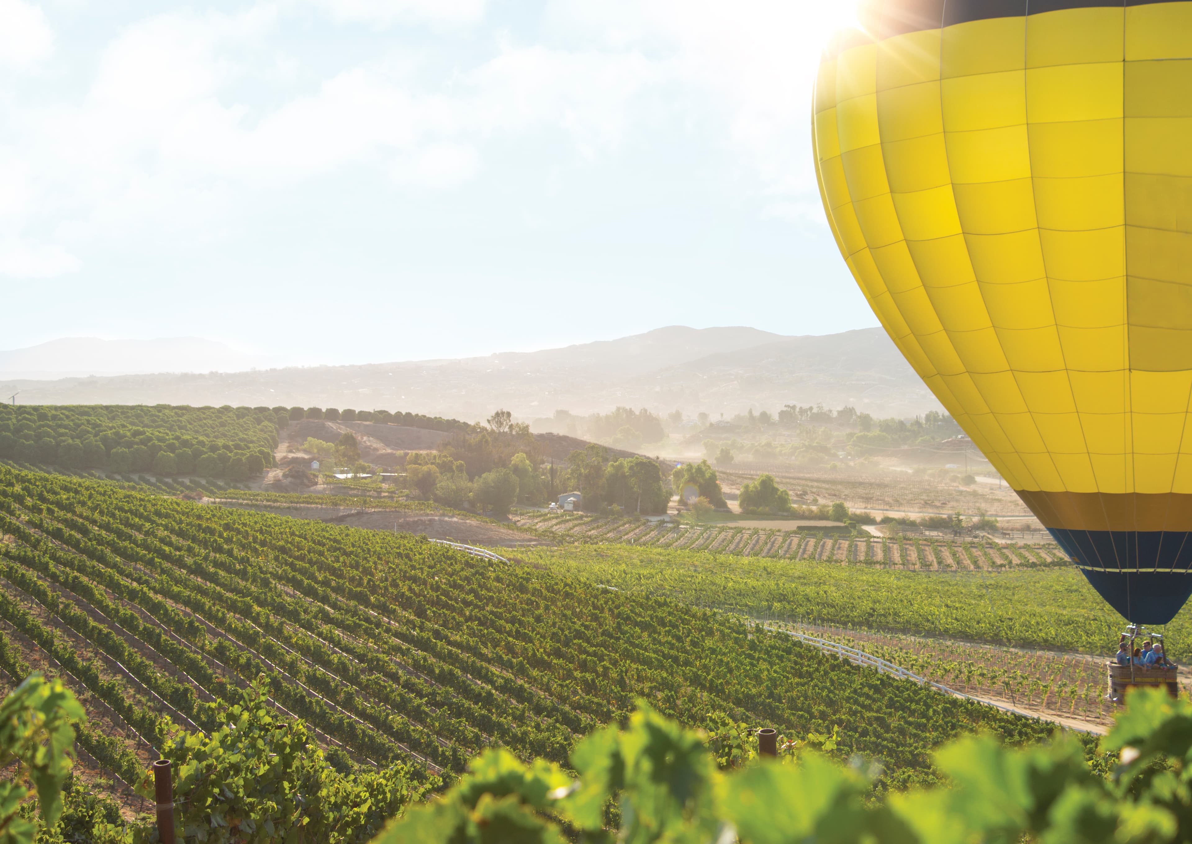 SoCal Wine Country EDC Highlights Skilled Workforce and Veteran Population as Regional Economic Advantage