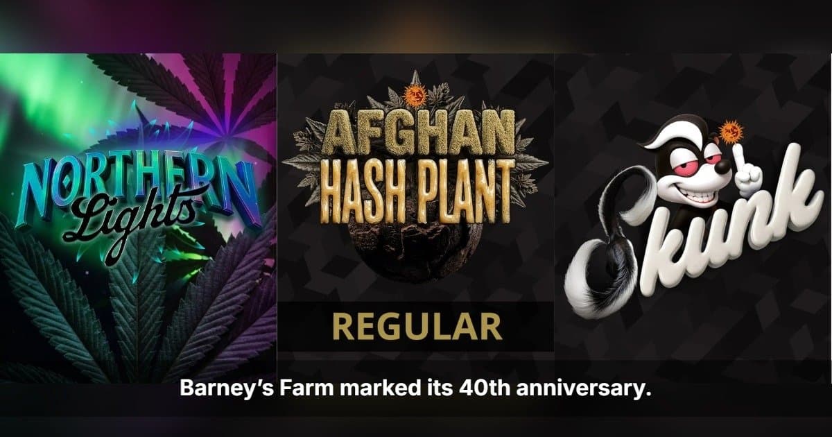 banner image for: The Real Deal Turns 40 — Barney's Farm Returns to Its Roots With the Genetics That Started It All