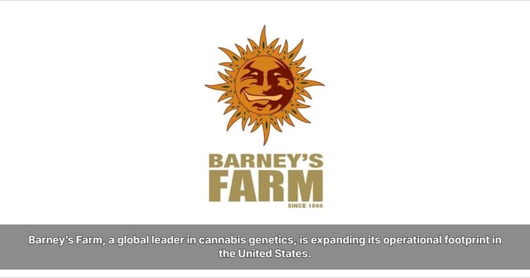 banner image for: Classic Genetics Meet Modern Growing: Inside Barney’s Farm “Back to the Future” Initiative