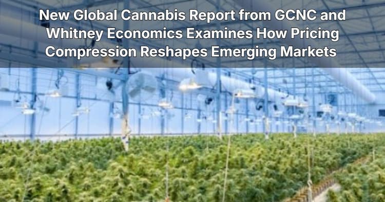 banner image for: New Global Cannabis Report from GCNC and Whitney Economics Examines How Pricing Compression Reshapes Emerging Markets