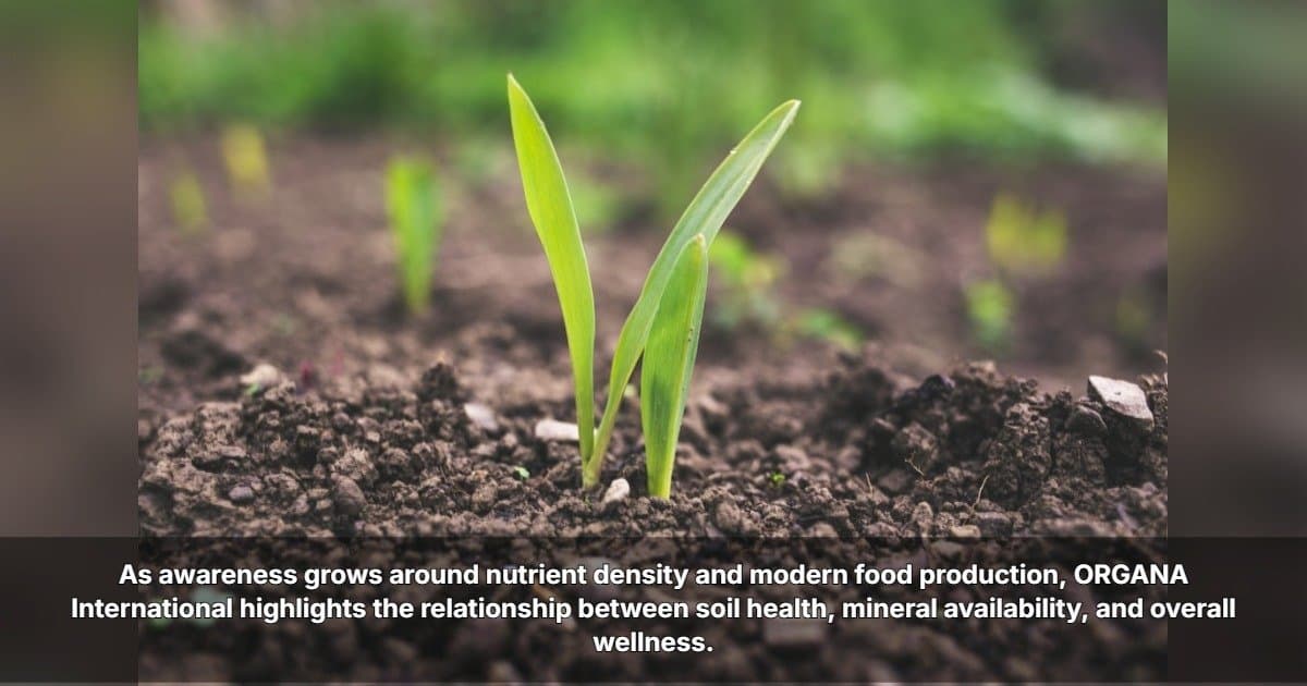 ORGANA International Explores the Connection Between Soil Health and Human Nutrition