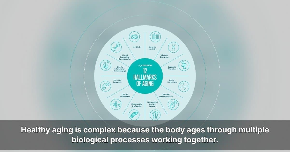 AgeReverse Plans U.S. Expansion With Comprehensive Approach to Healthy Aging