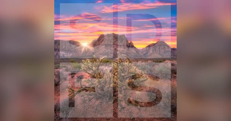 banner image for: Solomon Dwiggins Freer & Steadman Attorneys Earn Multiple 2026 Legal Honors